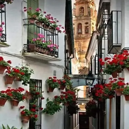 Apto Con Patio Y Barbacoa Bbq Picadores