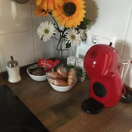 Apto Con Patio Y Barbacoa Bbq Picadores