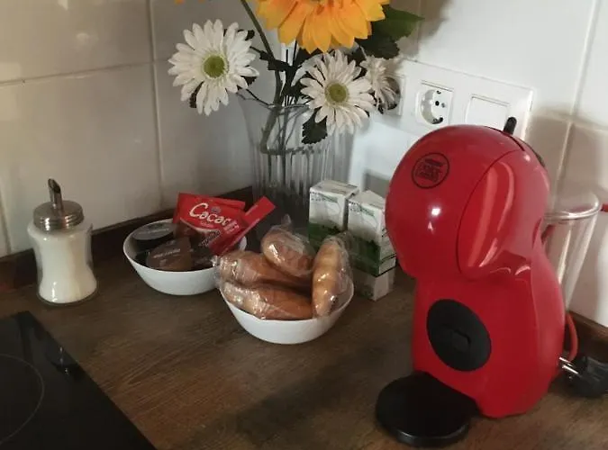 Apto Con Patio Y Barbacoa Bbq Picadores