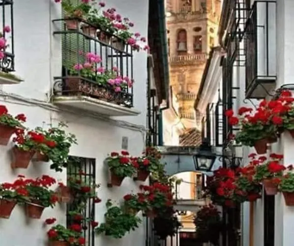 Apto Con Patio Y Barbacoa Bbq Picadores